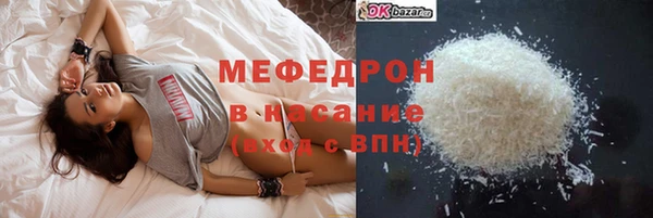 молекула духа Богородицк