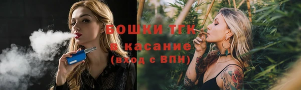 молекула духа Богородицк