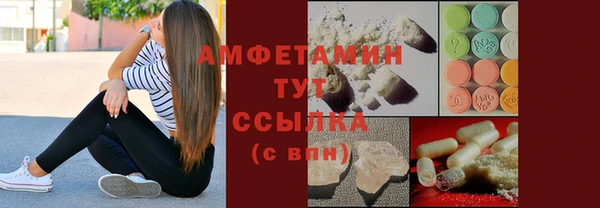 молекула духа Богородицк