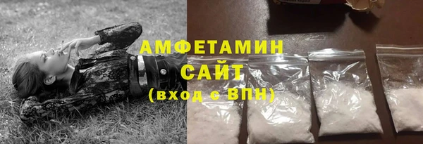 молекула духа Богородицк