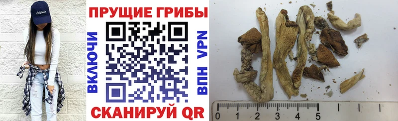 Галлюциногенные грибы прущие грибы  Тихорецк 